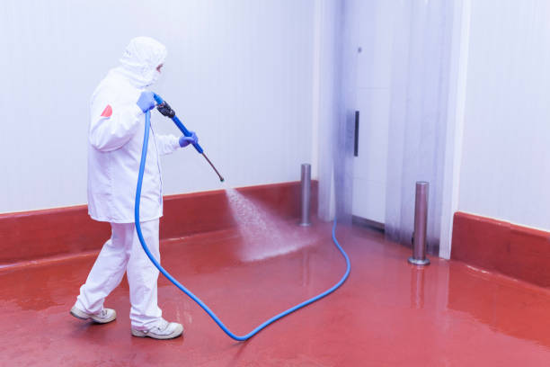 Pre-Holiday Cleaning in Waupun, WI