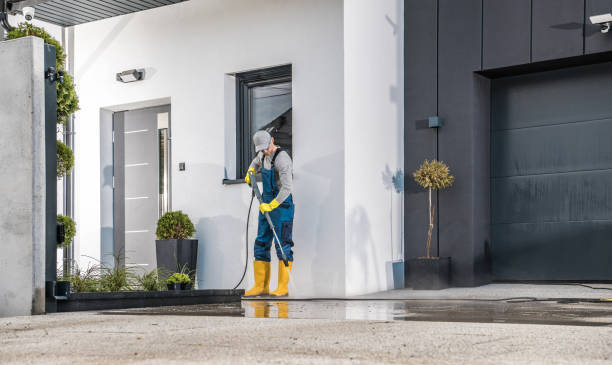 Best Roof Washing  in Waupun, WI